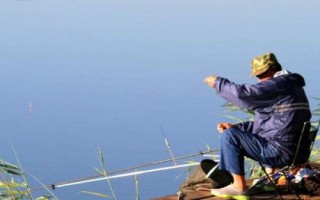 垂钓麦穗鱼的技巧，可从钓底开始向上搜索鱼层