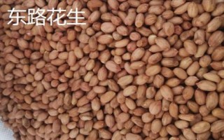 河北曲阳县的特产,曲阳烧饼是当地的传统名点
