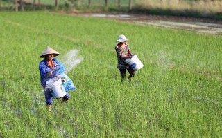 农作物根外施肥技术，根据气候条件选择喷肥时间