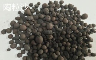 鱼缸选择什么作为底沙,通常选择陶粒沙