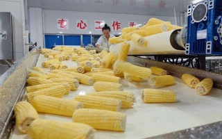 玉米深加工的产品有哪些，有玉米淀粉、玉米蛋白粉等