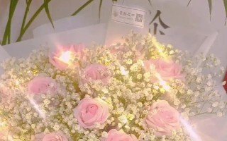 粉玫瑰不能随便送人的原因，所代表的含义随着赠送时期而发生变化