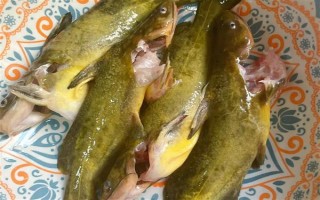 怎么清洗黄骨鱼，用水冲洗后再用开水烫一下