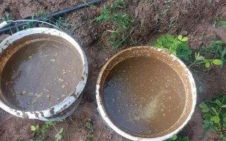 氮肥的自制方法，参考以下2种方式