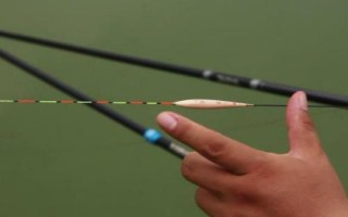 鲢鳙开口时间和停口时间,夏季食欲最为旺盛