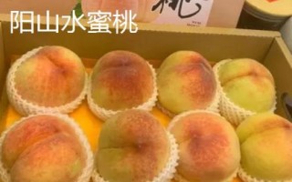 常见的桃子品种,品种较多各具特色