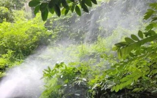 制做石硫合剂的配方,用生石灰、硫磺粉、水等材料配制