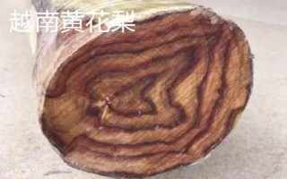 黄花梨木很贵的原因，物以稀为贵