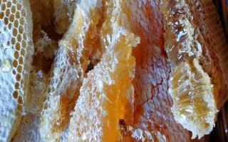 蜂蜜涂脸后要不要洗掉，变干后的蜂蜜容易吸收皮肤水分