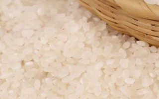 东北大米的品种，常见的有长粒香、稻花香、珍珠米等