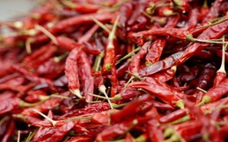 什么品种的干辣椒最辣、最香，推荐七星椒、子弹头、新一代等