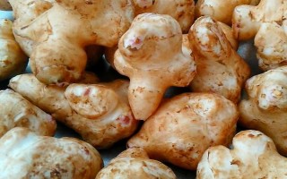 洋姜和生姜的区别，味道和用途均不同