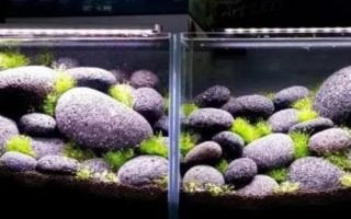 如何用鹅卵石在鱼缸内造景,铺满底砂后种植水草、然后再放上鹅卵石