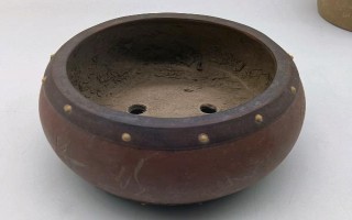 微型月季的养殖方法，宜选用直径20公分左右的花盆