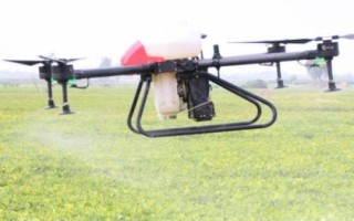 打除草剂多久下雨不影响效果，2-8个小时之后下雨不会影响效果