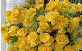 黄玫瑰的花语，寓意已逝的爱、等待的爱等