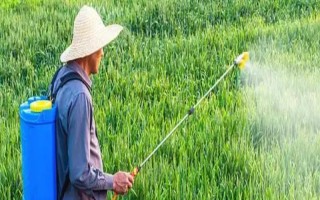 农药在100℃的高温下还有没有药性,大多数药物依然具有效果
