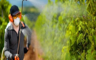 有哪些葡萄催红剂，主要有S-诱抗素、虾红素等