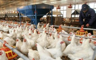 畜禽标识和养殖档案管理办法的内容，在我国境内从事相关生产等活动都要遵守