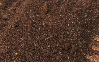 茶叶渣怎样做肥料，与土1:5混和并堆积加水发酵即可