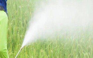 烯禾啶怎么使用，兑水后进行喷雾