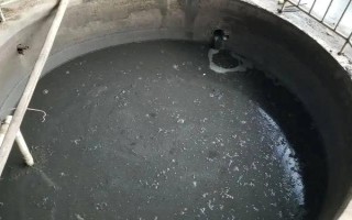沼液能直接用于水培蔬菜吗,不可以直接用于水培蔬菜