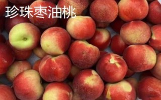 油桃的品种，是夏季水果