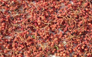 山东济南的特产,有东阿阿胶、文祖花椒等