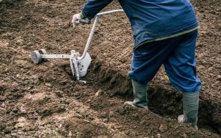 菜地土壤板结应该怎么改良,可采取增施有机肥、松土、掺沙这3种方式