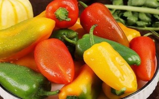 五彩甜椒的种植方法，播种前需浸种催芽