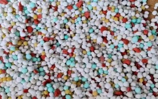 幸福树开花的寓意，寓意着吉祥如意