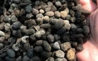 羊粪可以直接做肥料吗,没有腐熟不能做肥料