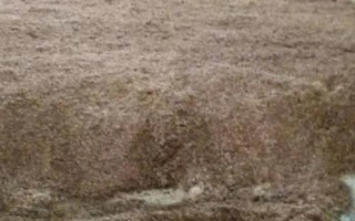 蚯蚓钓鱼要打窝吗，建议打窝