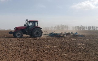 玉米示范基地强化措施,应在出苗后及时查看是否缺苗