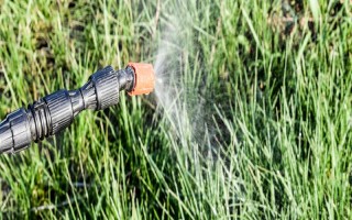 盖草能怎么使用，在杂草4叶期左右用药兑水喷雾