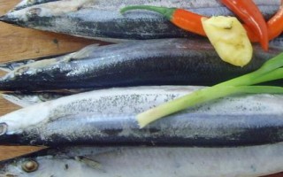 刀鱼介绍,属于鳀科、鲚属、刀鲚种鱼类