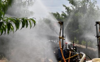 如何化学防治果树病虫害，要及早清理树干的病斑、粗皮等