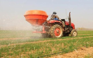 轮选103小麦品种简介，平均生育期为242天