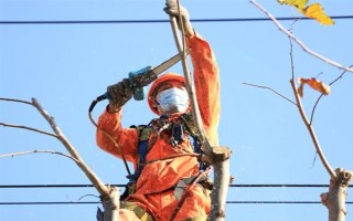 风铃木的寓意，花语是感谢