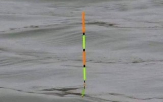 红虫野钓调漂调几钓几，得综合考虑鱼情、水情和季节