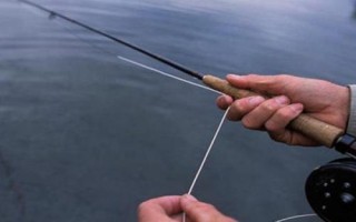 马口鱼的生活环境，常栖息在山涧溪流中