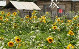 南方立冬习俗,包括祭祀、补冬、酿黄酒等活动