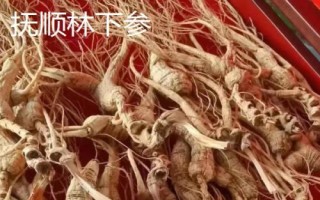 辽宁省抚顺县的特产,单片黑木耳为当地特色农产品