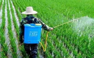 农药在100℃的高温下还有没有药性,大多数药物依然具有效果