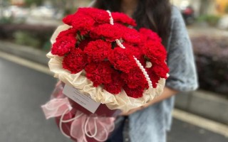 红色康乃馨适合送什么人，适合赠送给母亲或师长