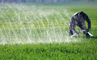 冬小麦怎么管理，每次降雨或浇水后都要中耕保墒