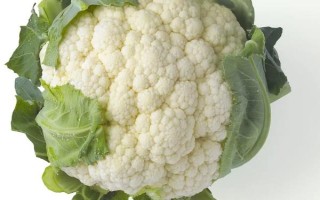 哪些蔬菜能在八月份种植，包括菜花、黄瓜、萝卜等品种