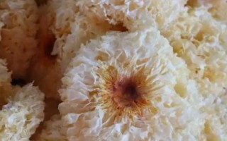 银耳的保质期,大概是在三年左右