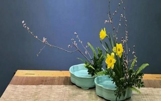 插花有什么造型，水平型、三角型、L型等类型比较常见