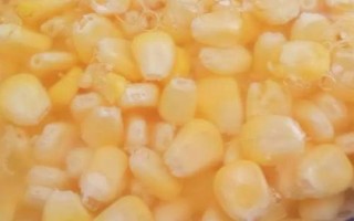 玉米种子处理方法,常用清水或用营养液浸种